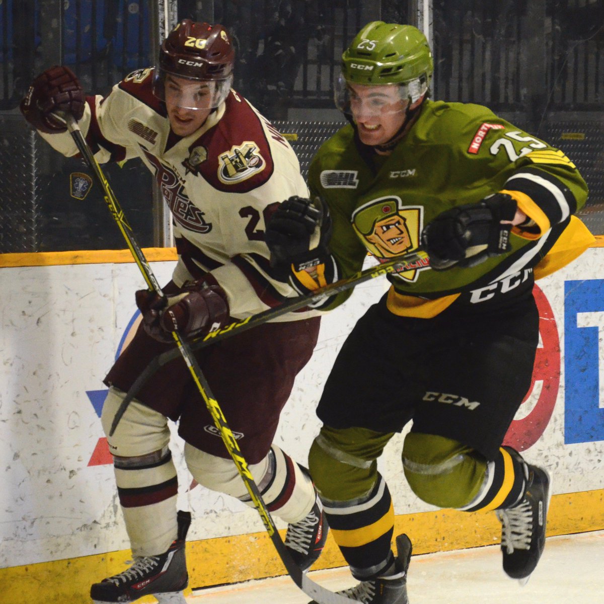 OHLBattalion's tweet photo. Troops are looking for the #7thMan to be loud &amp; proud tonight as they kick off the #OHLPlayoffs vs. @PetesOHLhockey https://t.co/pgeaa69trv