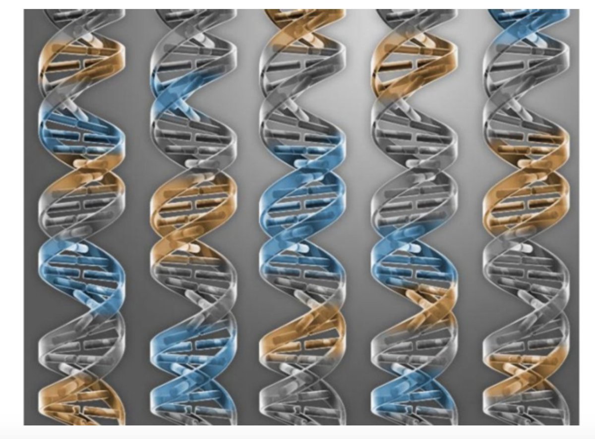 Maverix Biomics tweet media