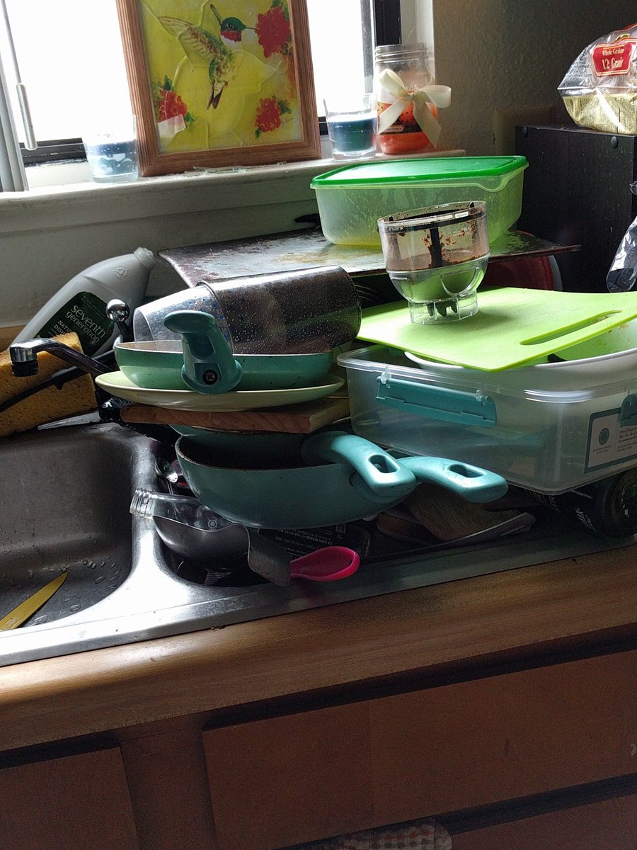 Hippie_Homage's tweet photo. Worst part of vegan cooking... Dish aftermath https://t.co/ZWSksynv1v