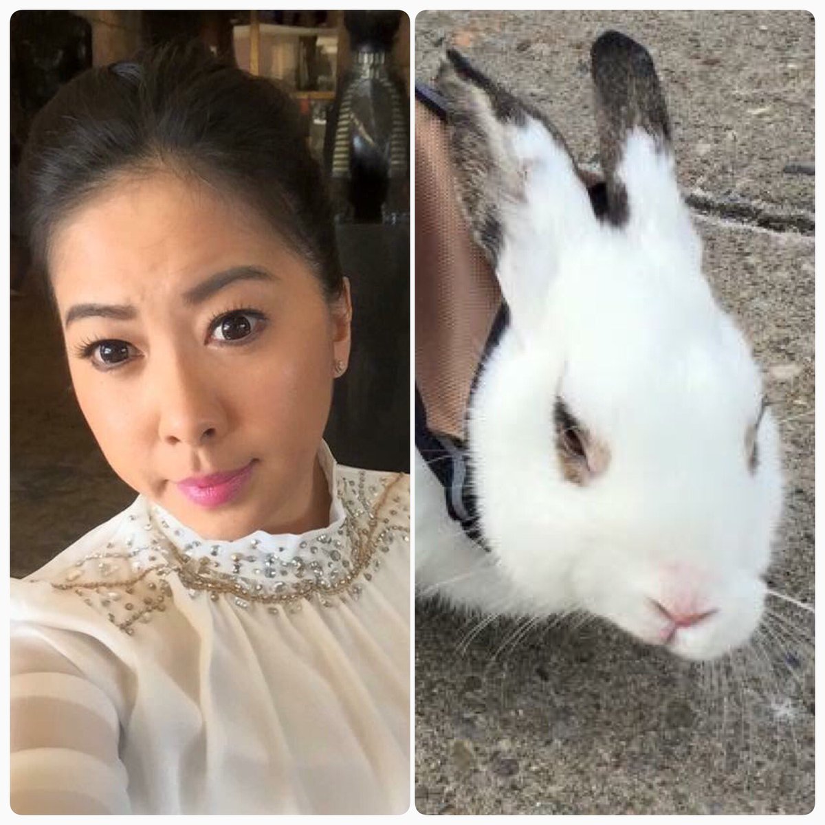 ObstacleBunnies's tweet photo. My bunny and I definitely have similarities. https://t.co/rrDlFeRutP