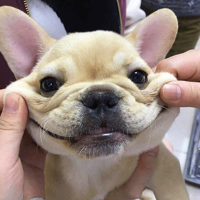 BoulevardNG's tweet photo. That moment when you realize it's #Friday 😁 https://t.co/vZw9x9UvEr