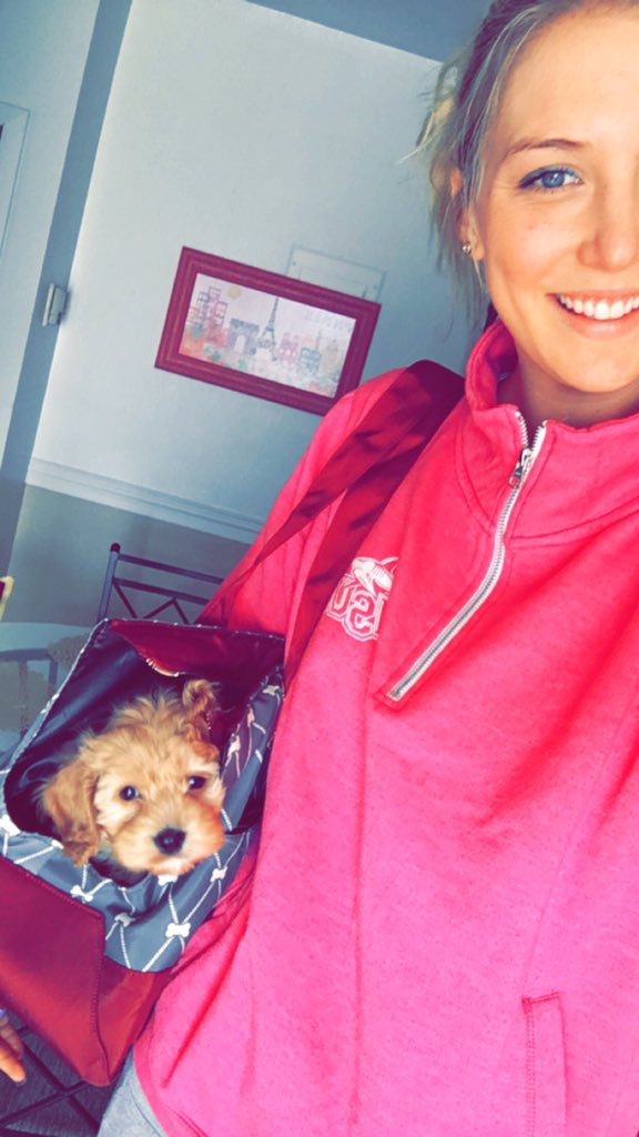 marge_farrell's tweet photo. The #Easter bunny brought us this cute new bag โบ๏ธ now she can really live a spoiled life! #LittleSideKick ๐ https://t.co/2mxRUKtU4A