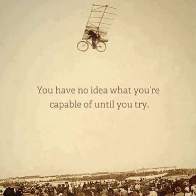 SeeDoGo's tweet image. 