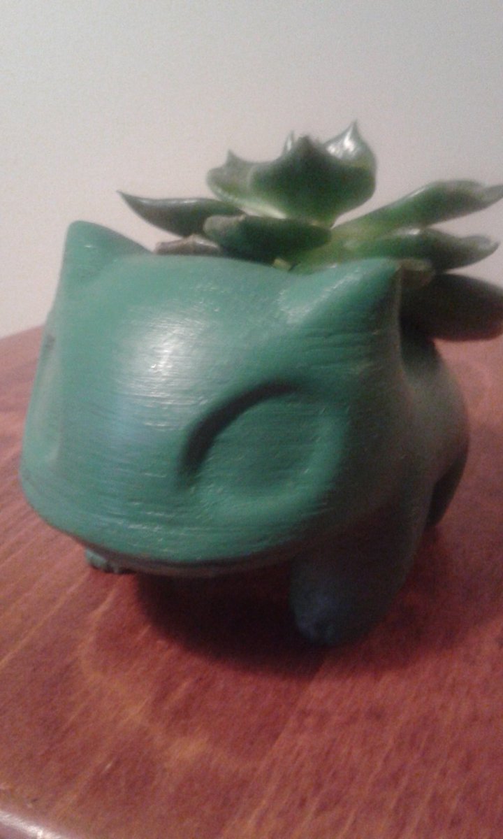 xineef88's tweet photo. @MrScaryMuffin You like Pokémon. I didn't make the model, but print and paindet it. And bought the plant. Love it https://t.co/jBKRdML9a0