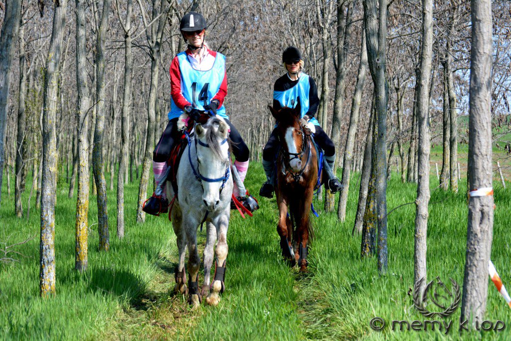EnduranceHellas's tweet image. 1st Endurance Development Ride 2016 / Day 2 – 1st Batch #equinephotography enduranceridinghellas.com/2016/03/25/1st…