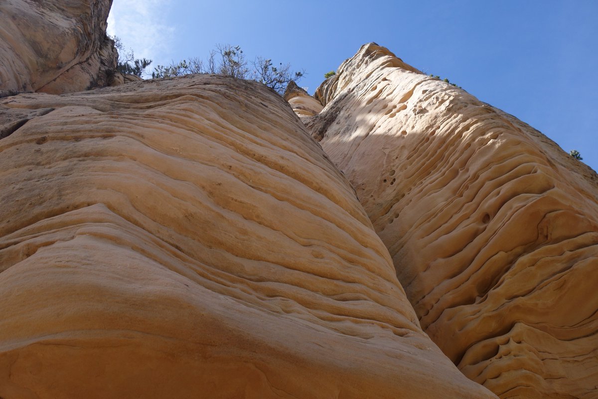 msvanvliet's tweet photo. Hereโs mine: sandstone cliffs created by deposition in the Paleozoic era #sdapes #chp8 #grandcanyon #geologyrocks https://t.co/cvTsIDjpHR