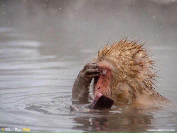thefemaleboook's tweet photo. When you're closing apps and you accidentally close the music app https://t.co/kQIs7W2PZJ