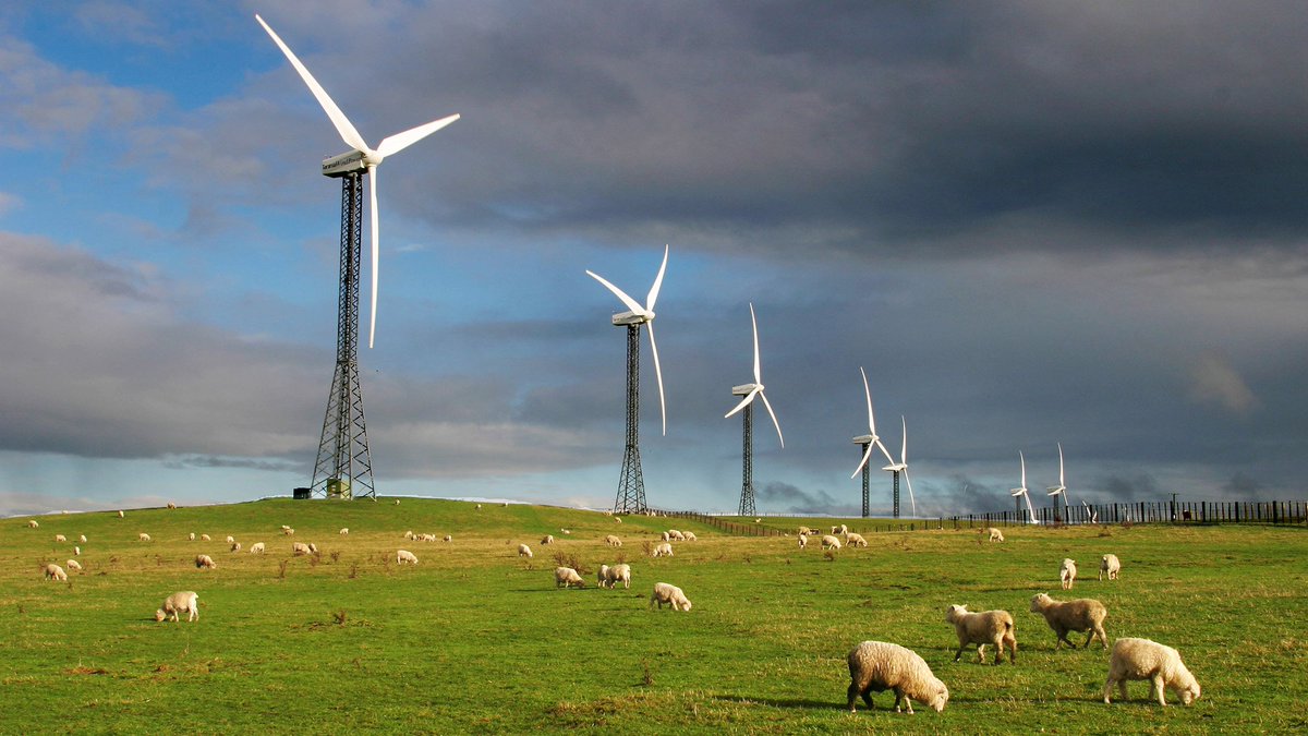 Zesty Renewable News tweet media