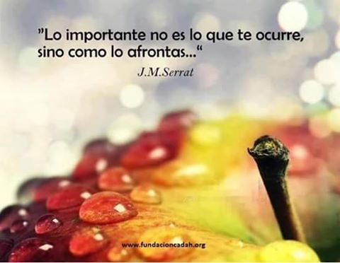 oswaldoartur's tweet photo. https://t.co/T3hMVuNqzj