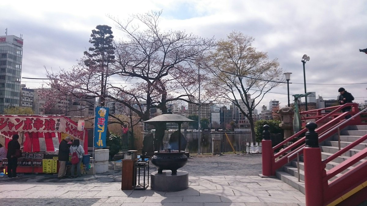 JaponEamigos's tweet photo. Junto al templo Bentendo de Ueno los Sakura aún no están en flor https://t.co/oDPaaJ6LF4