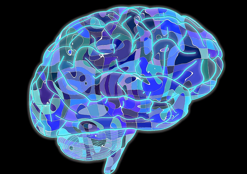 The Intersectionality between the Brain, Technology, and FL Education blog.myclasstracks.com/2016/03/25/the…