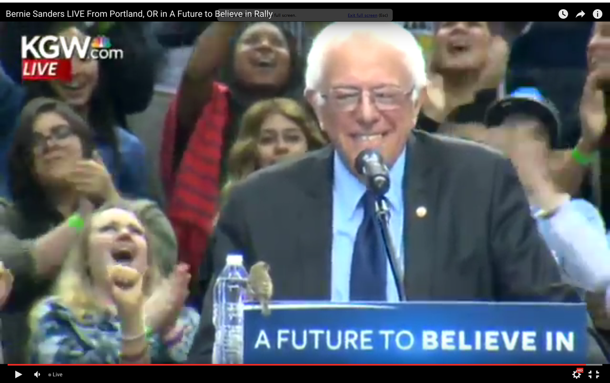 TheWarOfTerror's tweet photo. This just happened in #PortlandForBernie #BirdsForBernie #FeelTheBern https://t.co/2gc5g1dMBg