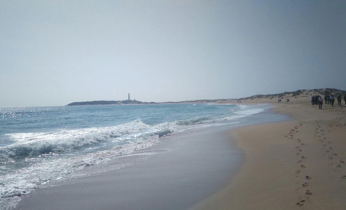 BIANCAKOVACS's tweet photo. #barbate#caños#lucky https://t.co/Xh0atD4ZVo