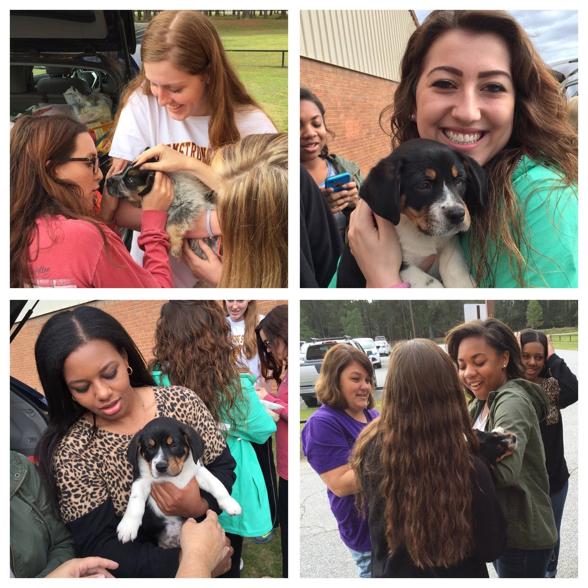 RHHSAPStats's tweet photo. Coastal Pet Rescue brought #PUPPIES when they picked up the food from the pet food drive #RHHSBetaClub https://t.co/wufVnJBILn