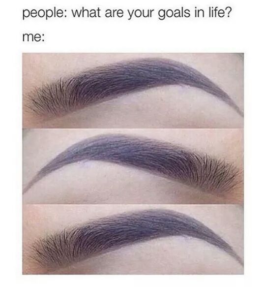 PlusBrows's tweet image. 