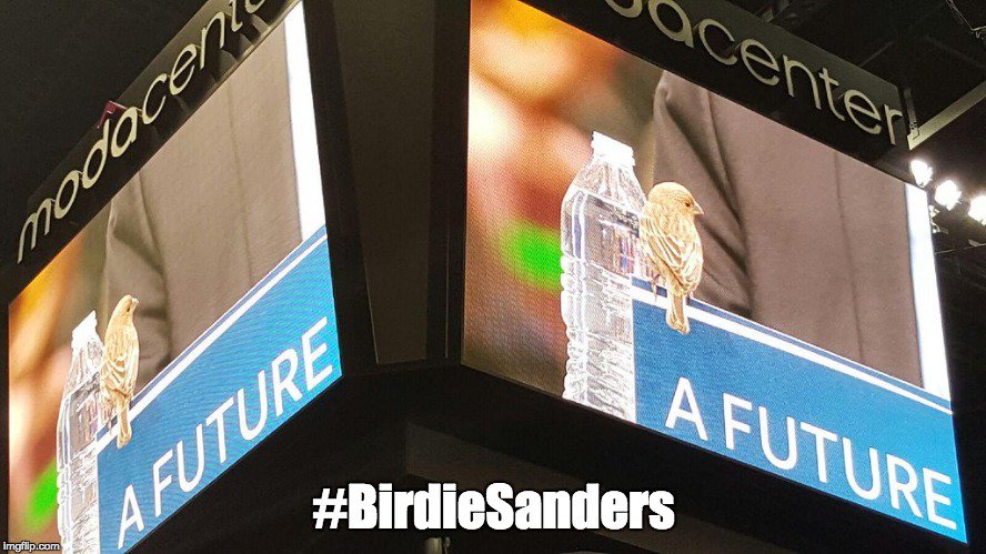 seanr1978's tweet photo. Those most affected by #ClimateChange like #BirdieSanders support #BernieSanders and the #environment. #FeelTheBern https://t.co/LrFraYRIeL