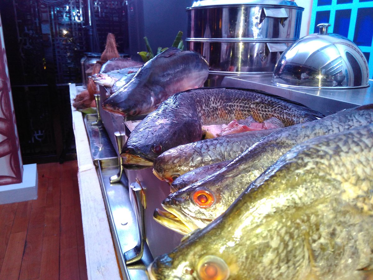 mhdasif148's tweet photo. #Fish-o-feast#Indiancoastalfood@k3 @ChefGKrishnan @JWMarriottDelhi @27Nehra @ankurchawlaa @reshii @DILPREETDILSE https://t.co/9VlS7KgC3N