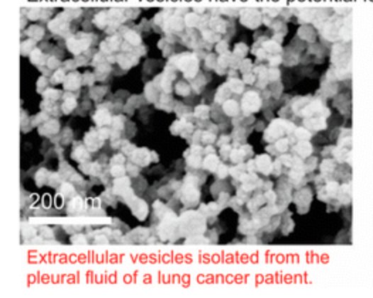 Maverix Biomics tweet media