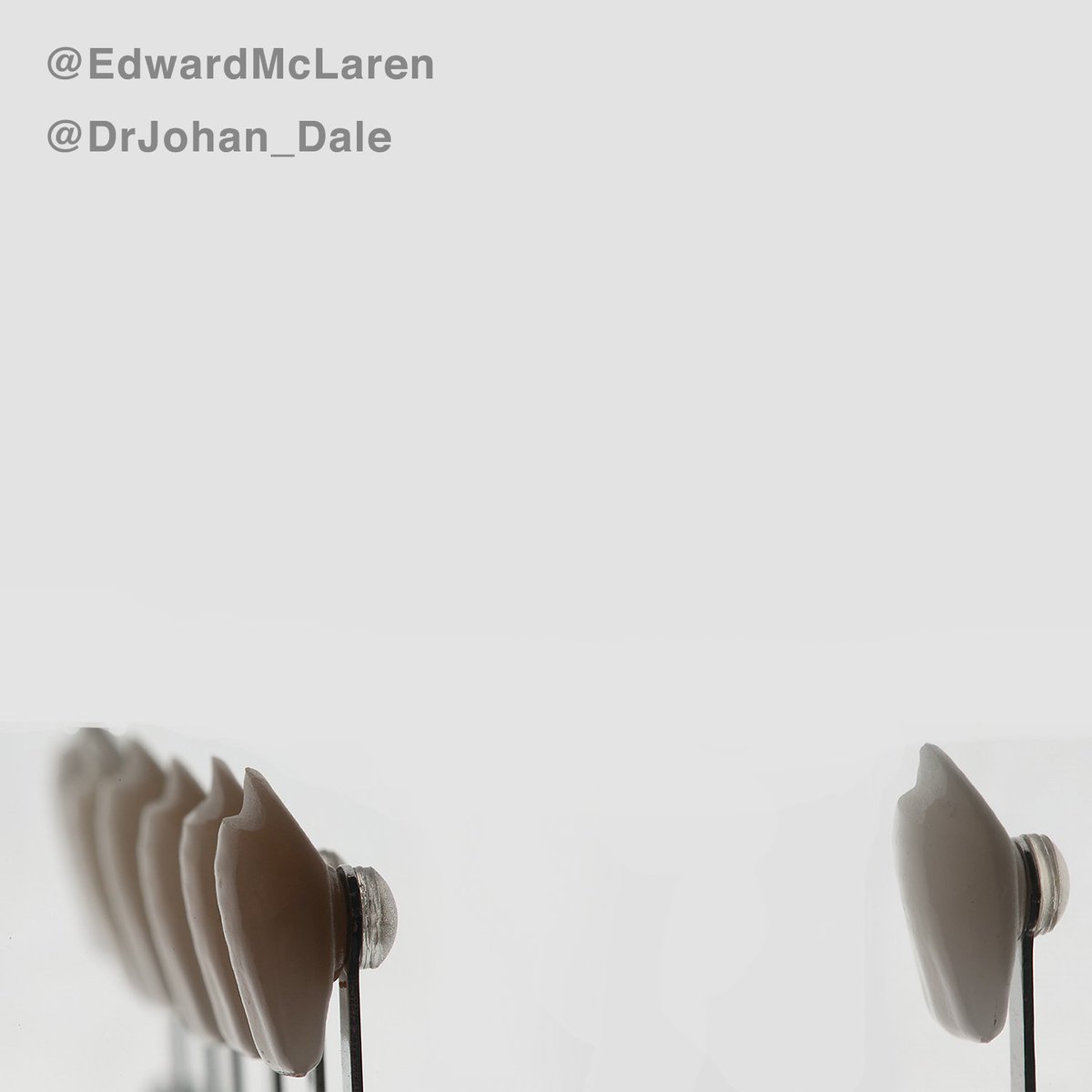 EdwardMcLaren's tweet image. #shadeguide should be trimmed properly so it can be held properly against a tooth @dentistry_LA #ucla #edmclaren