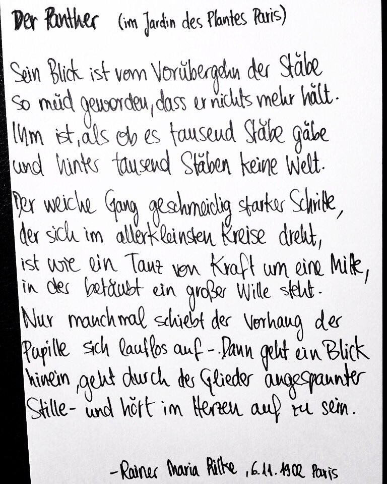 namelesslotti's tweet photo. #BildstattBlick https://t.co/ubu9FF9OAW