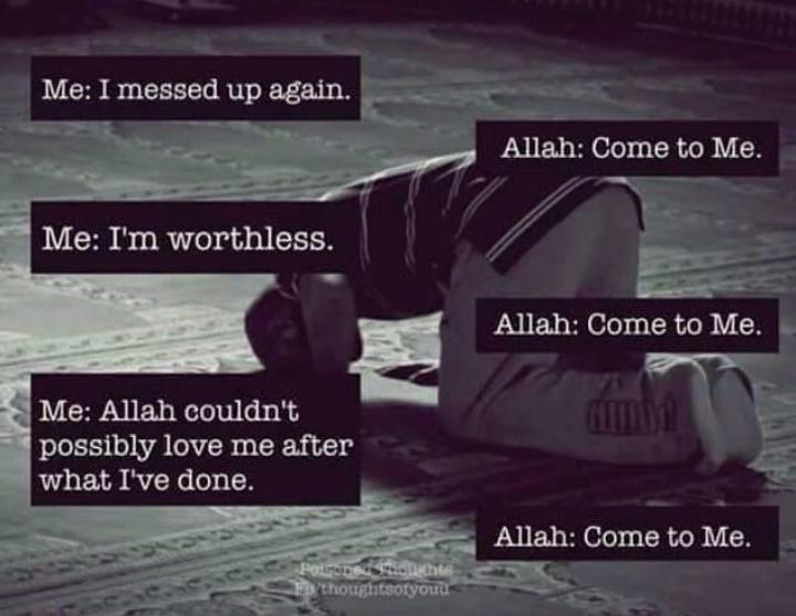 MuslimaDiary's tweet photo. https://t.co/Nn8Ee3XPxa
