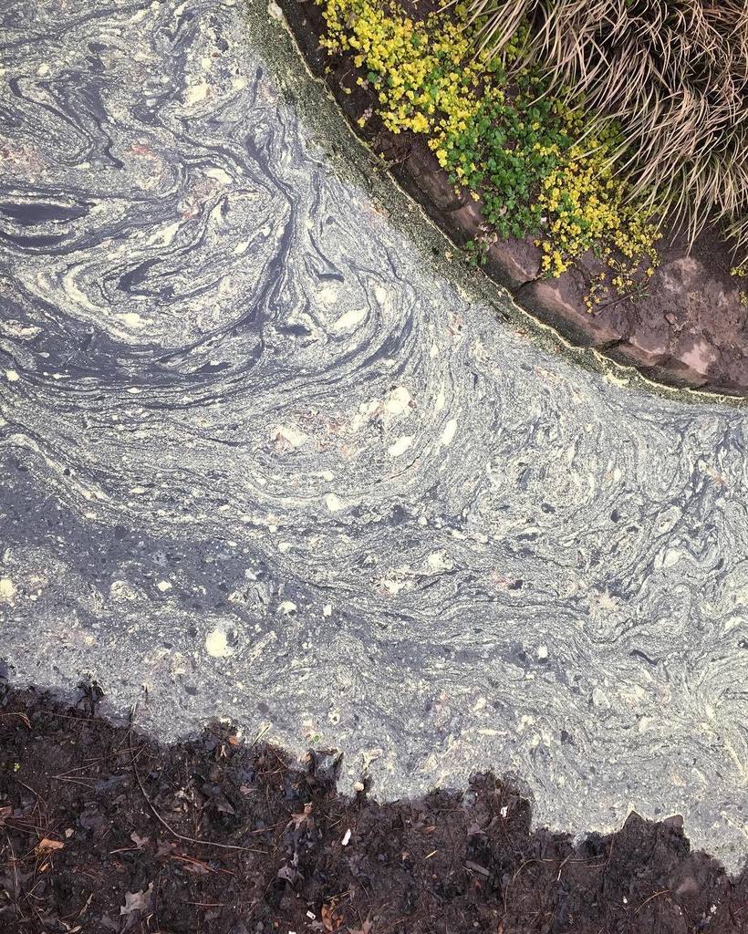 DBillyP's tweet photo. #85of366 #Spring in #Atlanta means #pollen, and rain means pollen #paintings in the #pond. #onephotoaday2016 #onepi⦠https://t.co/jAd4sVF1pv
