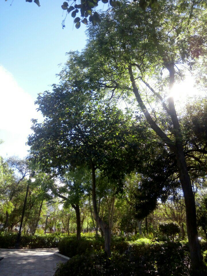 Candy__Perez's tweet photo. I'm at Jardín de San Marcos in Aguascalientes, AGS https://t.co/C1geXTXgV4 https://t.co/1ZHfYTNfV9