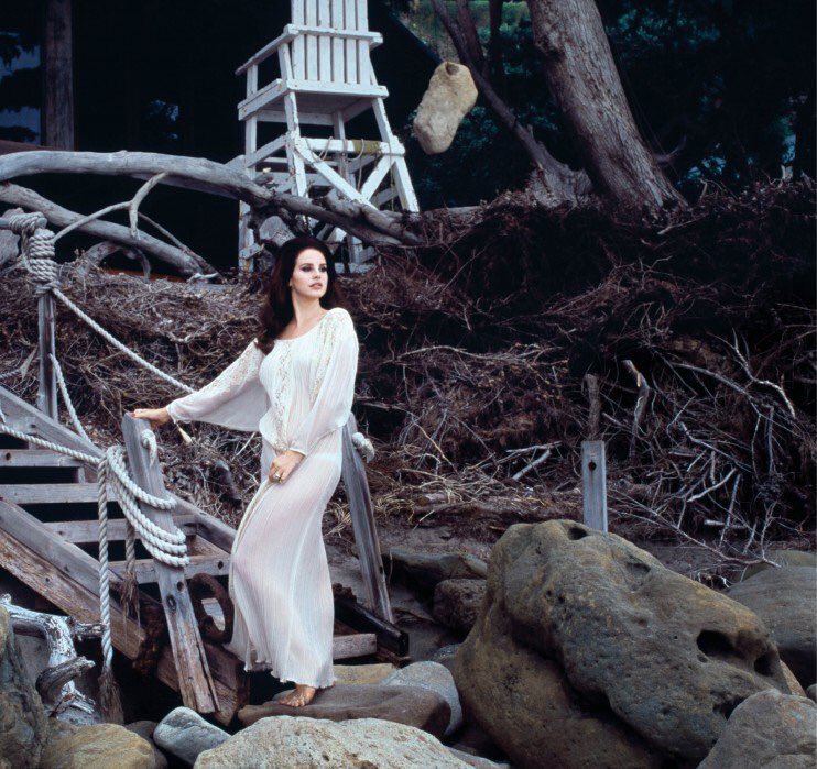 LanaActivity's tweet photo. https://t.co/Yf3xgBooDx