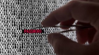 Perceptio tweet media