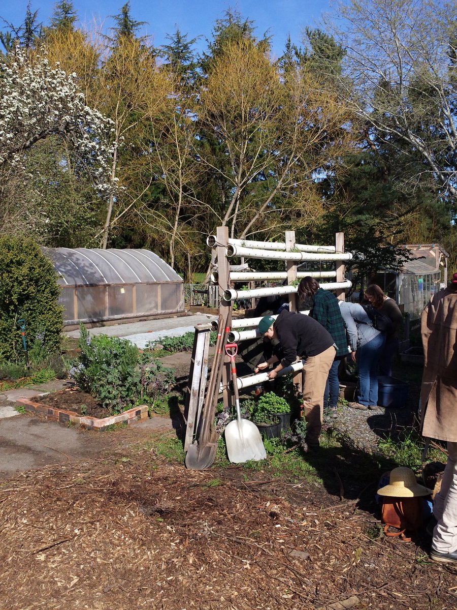 SocialCoast's tweet photo. Planting strawberries @ city harvest local food from Haultain ave :) https://t.co/cgwhvYZL7i