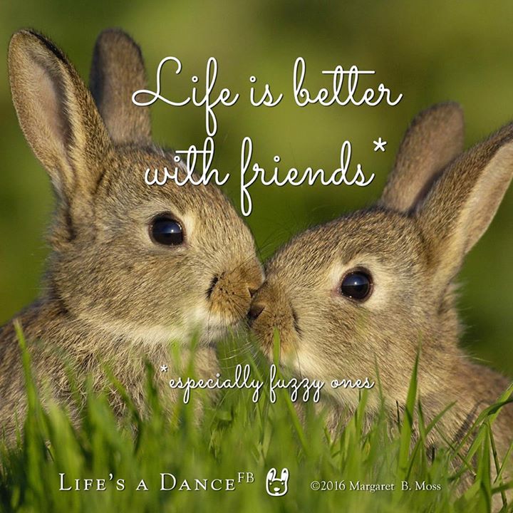 SeeDoGo's tweet image. 