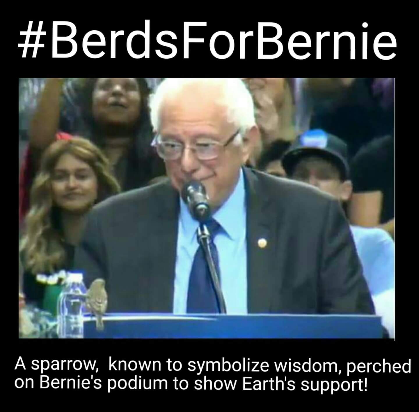 Jason Casey on Twitter "birdiesanders FeelTheBern Portland 
