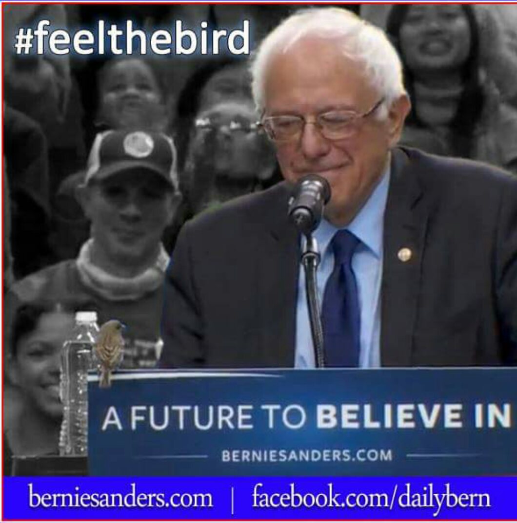 PotatoeCrunchie's tweet photo. #feelthebern #BirdieSanders #feelthebird #BernieOrBust #signofgoodtocome #saturdayvictory https://t.co/qzCq4wy7vH