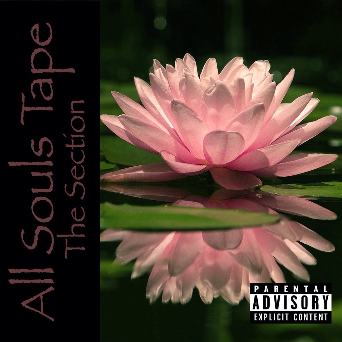 dndSection's tweet photo. Apologies but my first official tape "All Souls Tape" has been moved back to April 14th due to personal reasons https://t.co/Opvraq3BKb