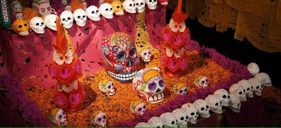 MxTransparente1's tweet photo. Día de muertos #estoesmx https://t.co/mkq1eRiP5f