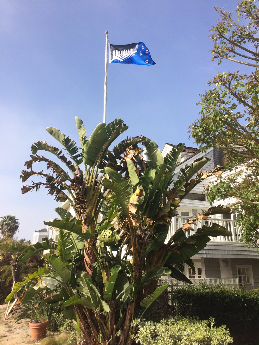 LosAngelesFlag's tweet photo. Spotted today in #LosAngeles! NZ votes to keep its old flag. These LA kiwis didn't get the memo. #nzflag https://t.co/0pp9rw3ywd