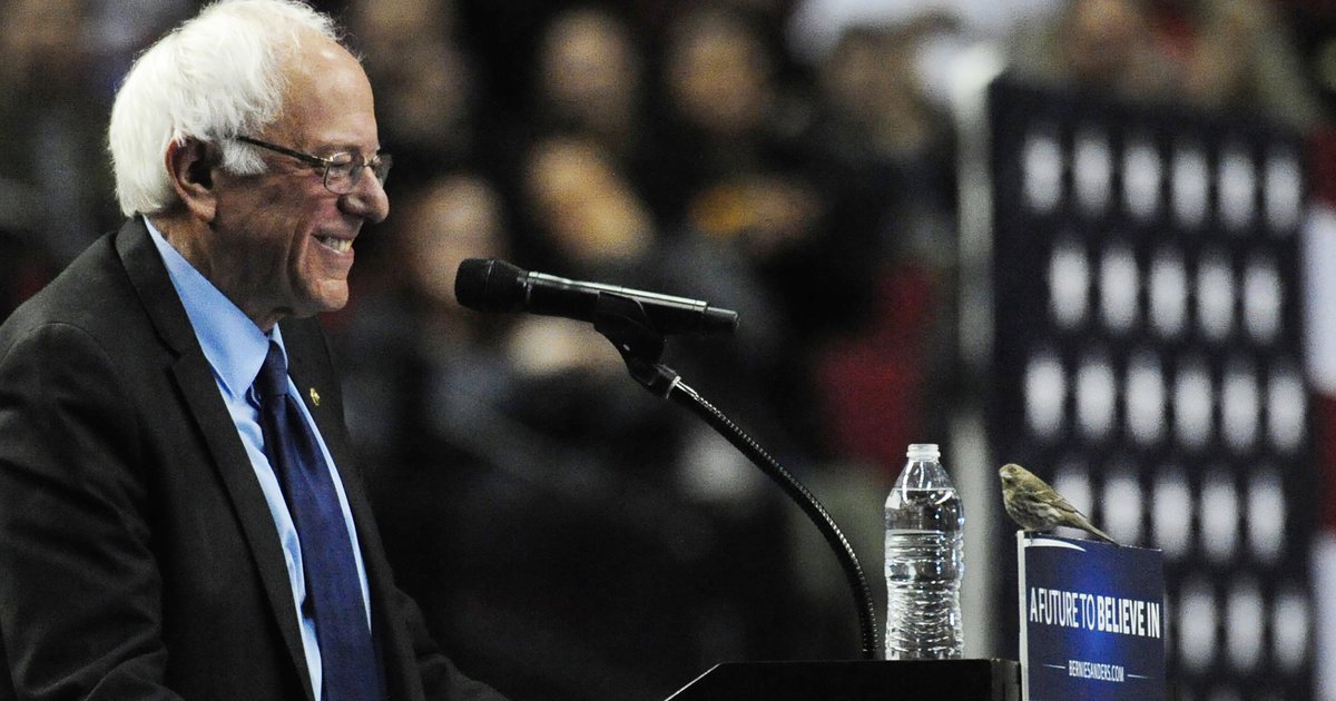 HuffPost's tweet photo. Bernie Sanders "puts a bird on it" at Portland rally https://t.co/bGAPAUEZYz https://t.co/1WM2DETJlk