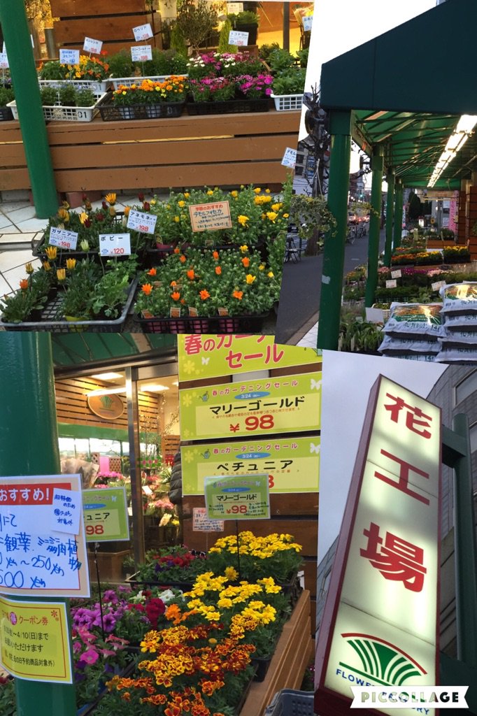 花工場 Flowerfactory Twitter 花工場 Flowerfactory Twitter