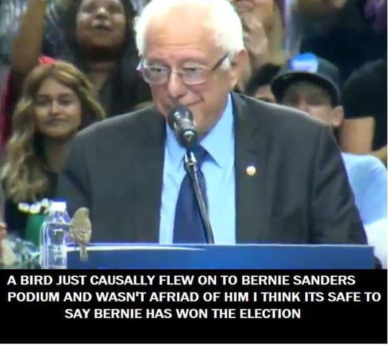 awkward_trans's tweet photo. .@berniesanders is a disney princess now #BirdieSanders #birdsforbernie #PDXforBernie https://t.co/vIMZfsUYYc