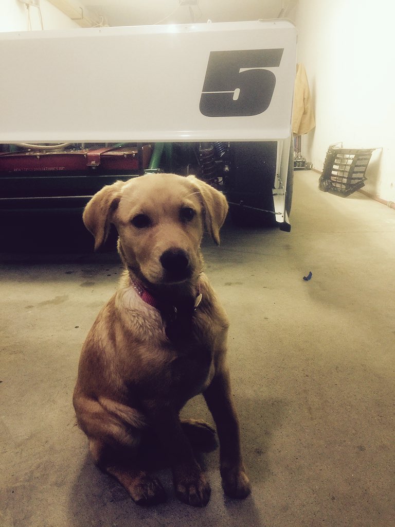 WillydeanJr's tweet photo. Fan Club Manager! #racecar #Ford #summer #2016 #Rookie #puppy #redlabsmatter #ARCA #MERS #FASTRP #RACE https://t.co/oYmLuhPyWA