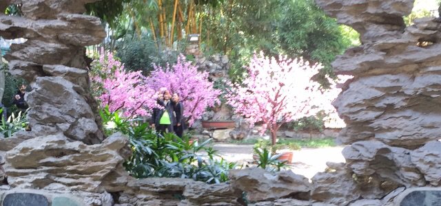 JeffTjin's tweet photo. #HeyLets The most beautiful Chinese garden in Macau in Suzhou style, where y... https://t.co/WYM0EIUzAG https://t.co/8icMmJxBM9