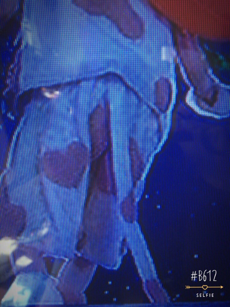 ペットショップラブモーション