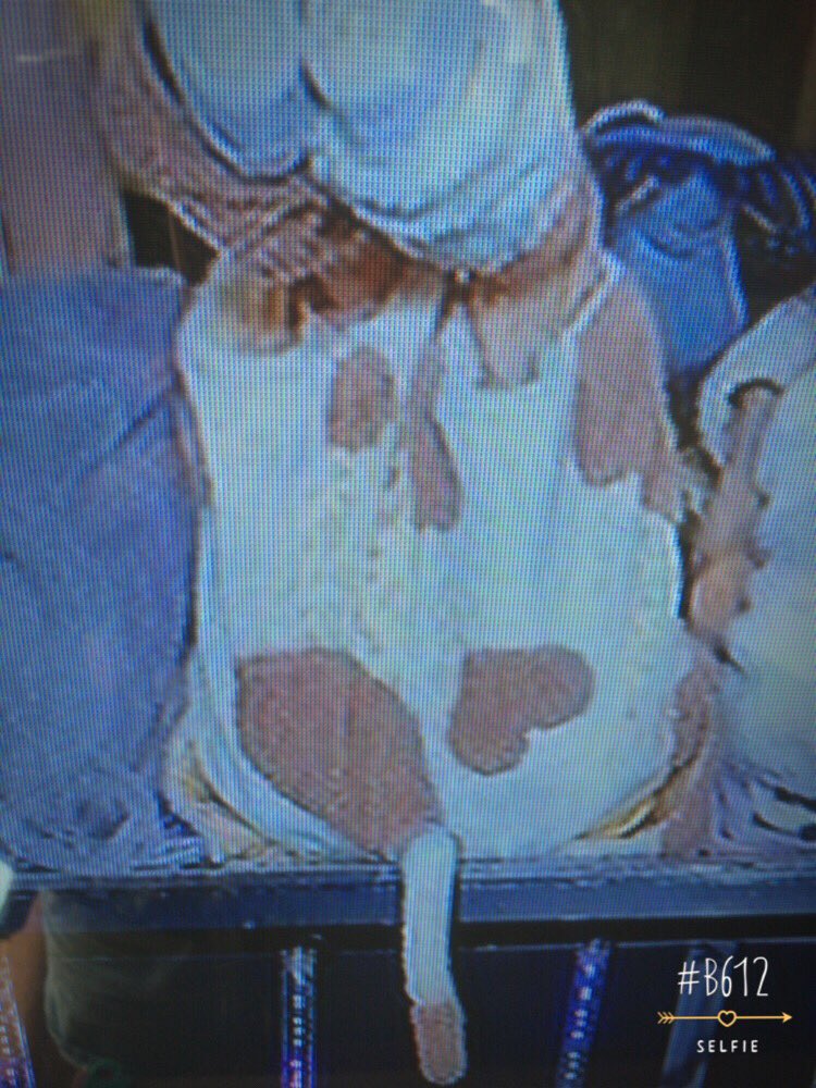 ペットショップラブモーション