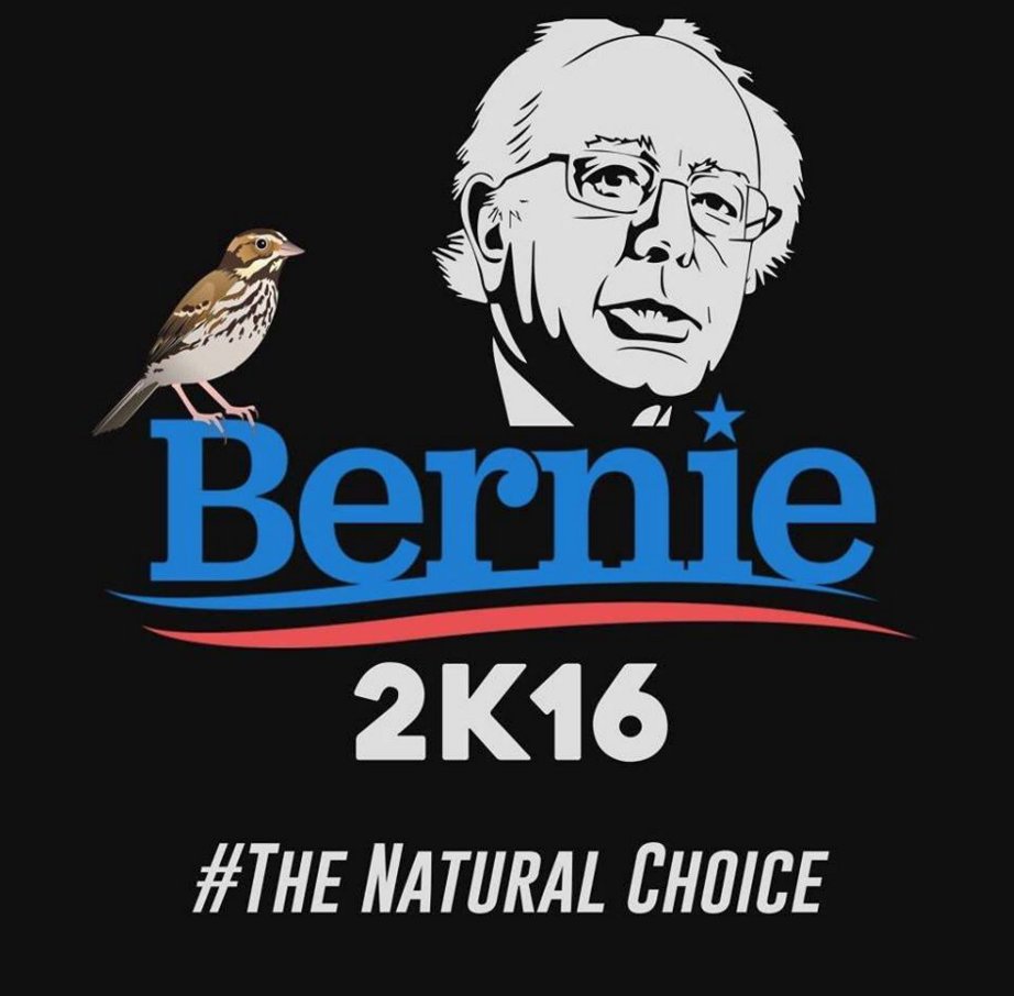 People4Bernie's tweet photo. We don't need your corporate endorsements. #BirdieSanders https://t.co/qt7LZiAjaj