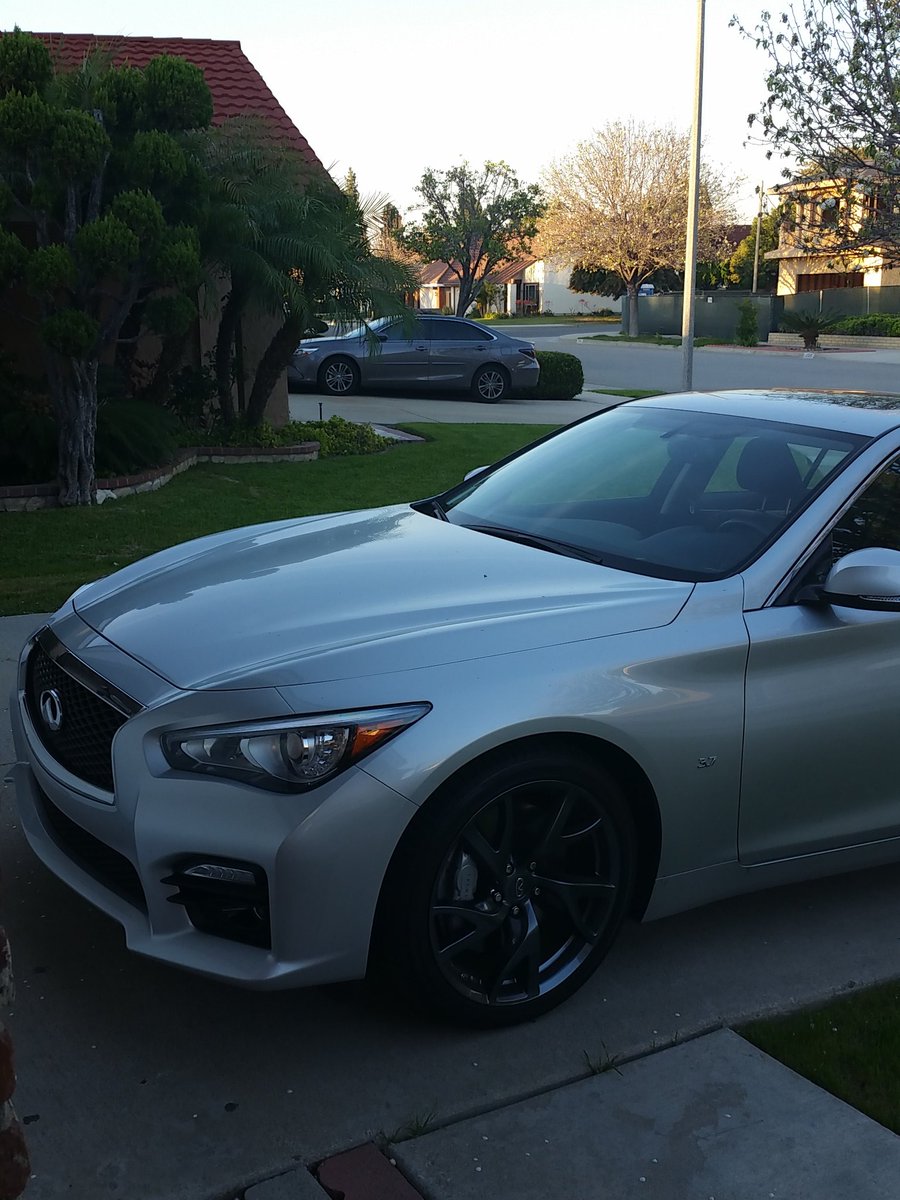 Zoodorable's tweet photo. My favorite car. #Q50s #coolcar https://t.co/te3Nz1uEBS