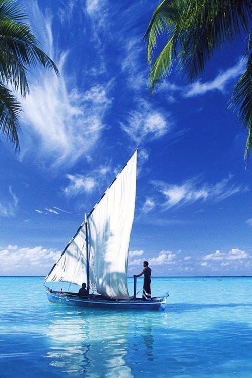 vincentmenezes's tweet photo. #50ShadesOfBlue...

#WakeUpToNature...
#LetTheSpiritSoar....... https://t.co/52g4wYZ2Hy