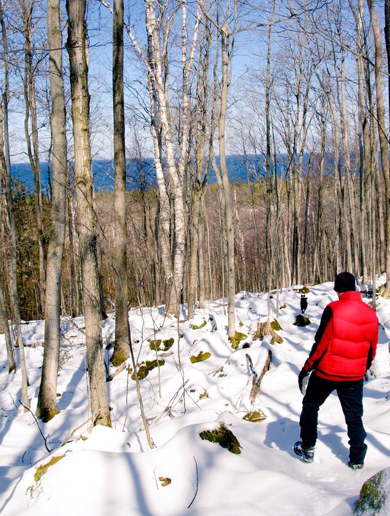 ExplorersTread's tweet image. So many treasures to find on the Bruce #EasterWeekend #differentkindofegg