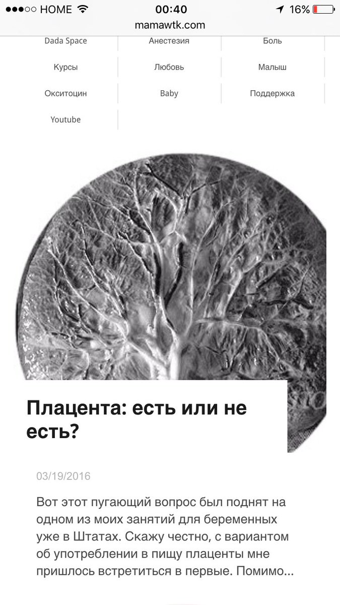 mamawtk.com/blog-блог/плац…