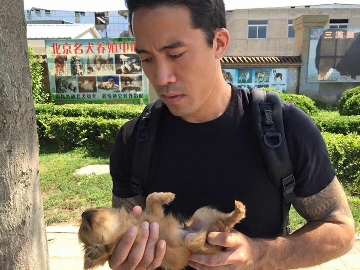 Animalhope4all's tweet image. .@AP @PBS  help me end this horrific torture and to bring awareness to this so called tradition #nomoreslaughter