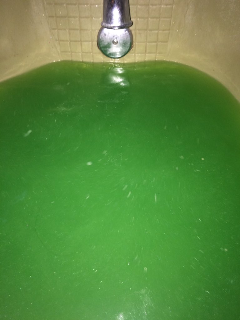 jenniferw1318's tweet image. Back at it again w/ the Lush bathbombs lmao #GuardianOfTheForest #Bathbomb #Lush